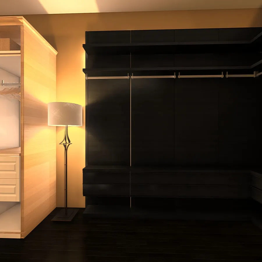Walk-In Closet 3d design renderings