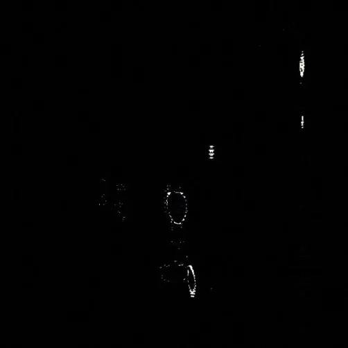 hotel (mas palomas )