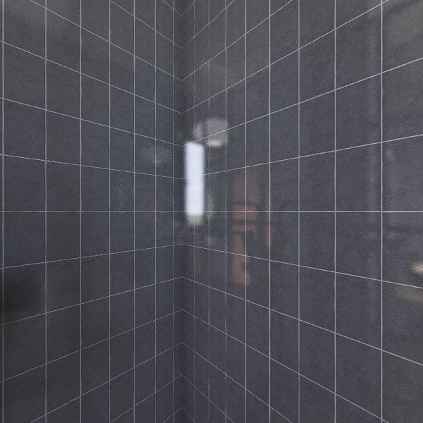 3 Ashgrove master bathroom 3d design renderings