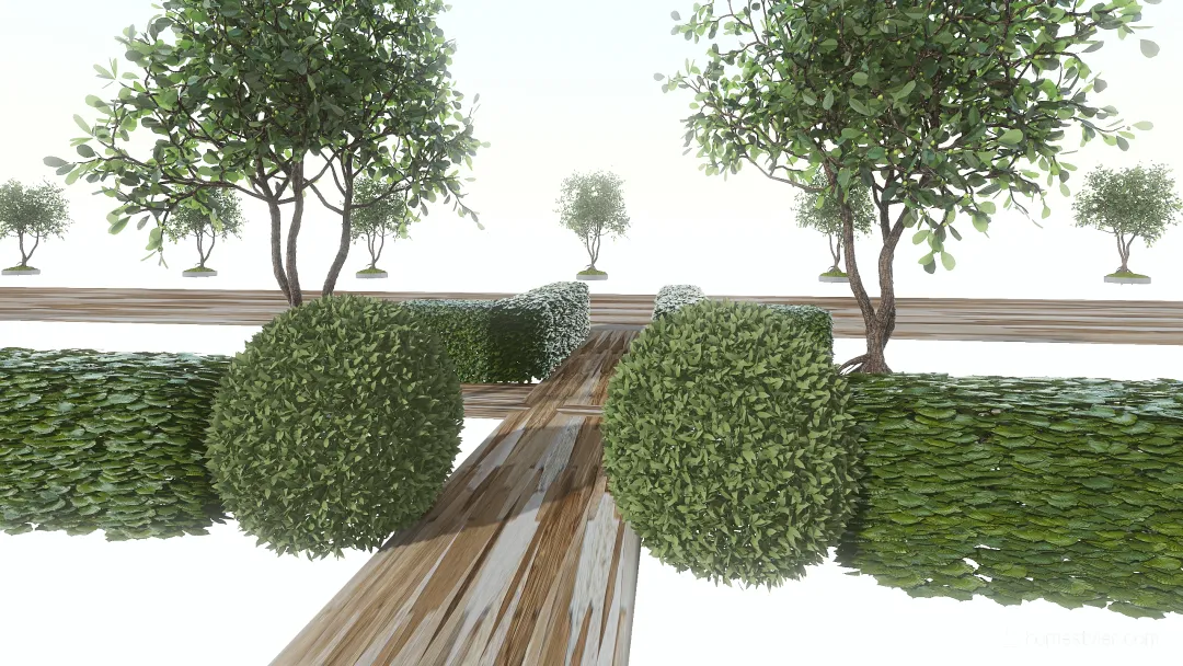 Носачово полный план без травы 3d design renderings